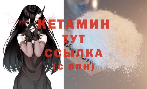 стафф Гусев
