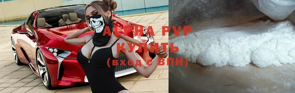стаф Дмитров