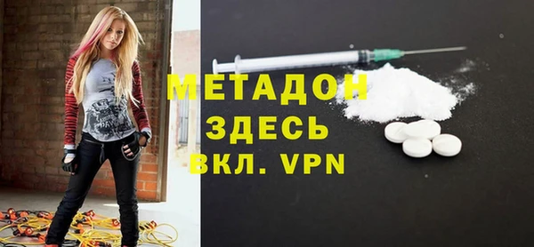 ПСИЛОЦИБИНОВЫЕ ГРИБЫ Дмитриев