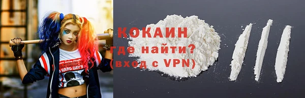 стафф Гусев