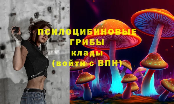 прущая мука Дмитровск