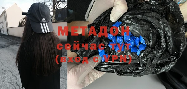 ПСИЛОЦИБИНОВЫЕ ГРИБЫ Дмитриев