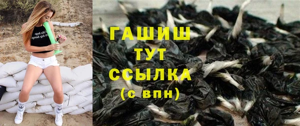 стаф Дмитров