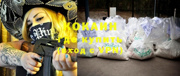 ПСИЛОЦИБИНОВЫЕ ГРИБЫ Дмитриев