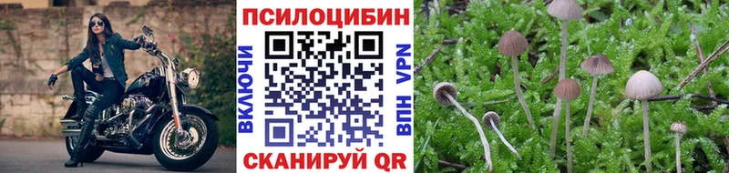 Галлюциногенные грибы Cubensis  Пушкино 